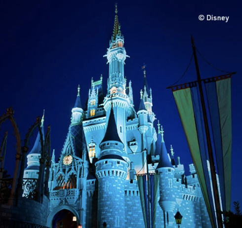 Hitachi Data Solutions Support Magical Experiences at Disney Parks